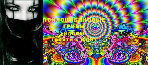 шишки Бронницы