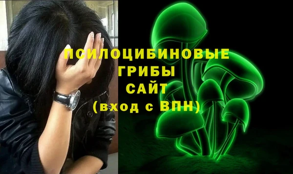 шишки Бронницы
